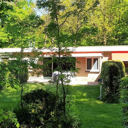 Knusse 5 Persoons Bungalow Hartje Veluwe Otterlo Eksteriør billede