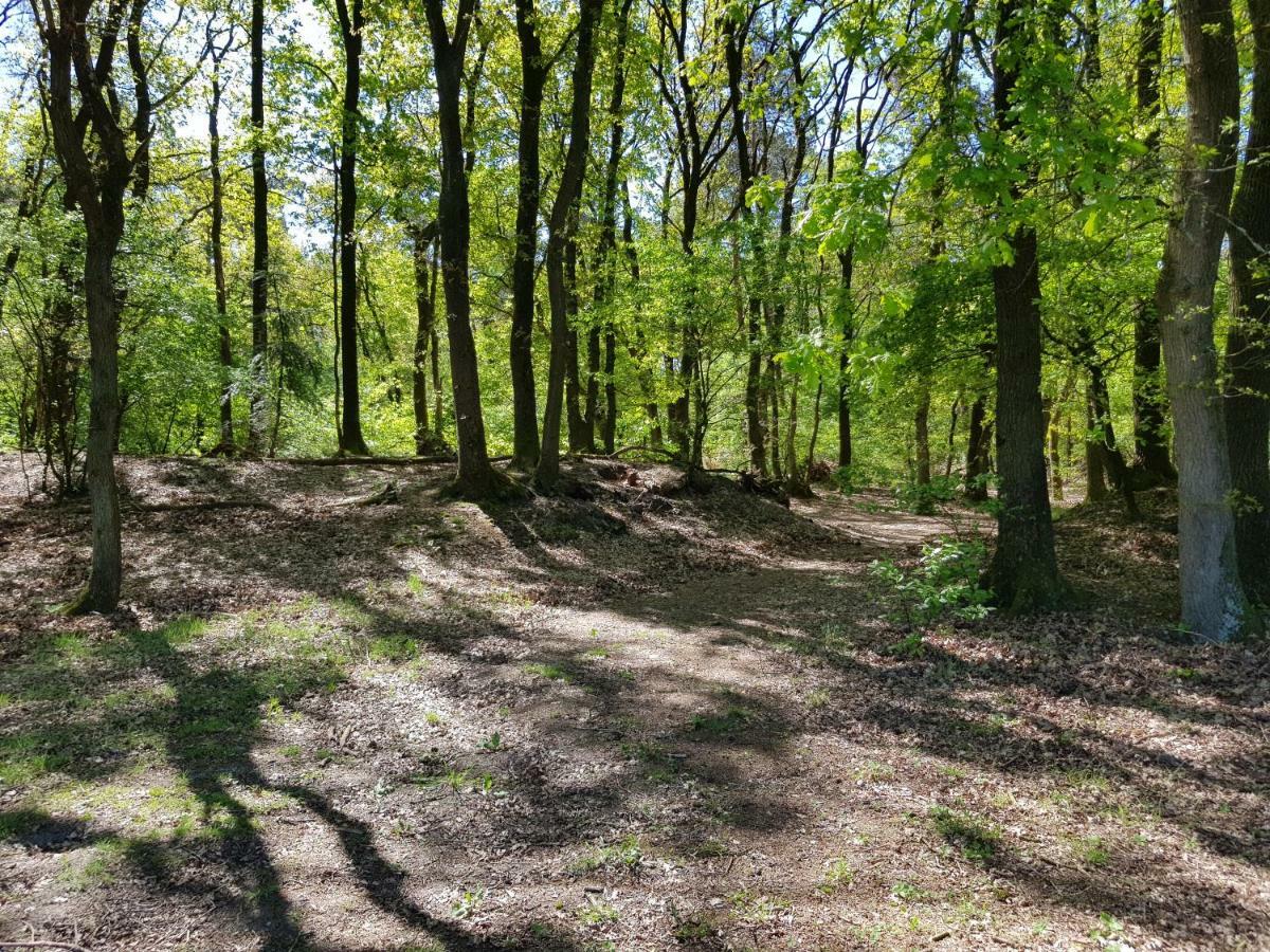 Knusse 5 Persoons Bungalow Hartje Veluwe Otterlo Eksteriør billede