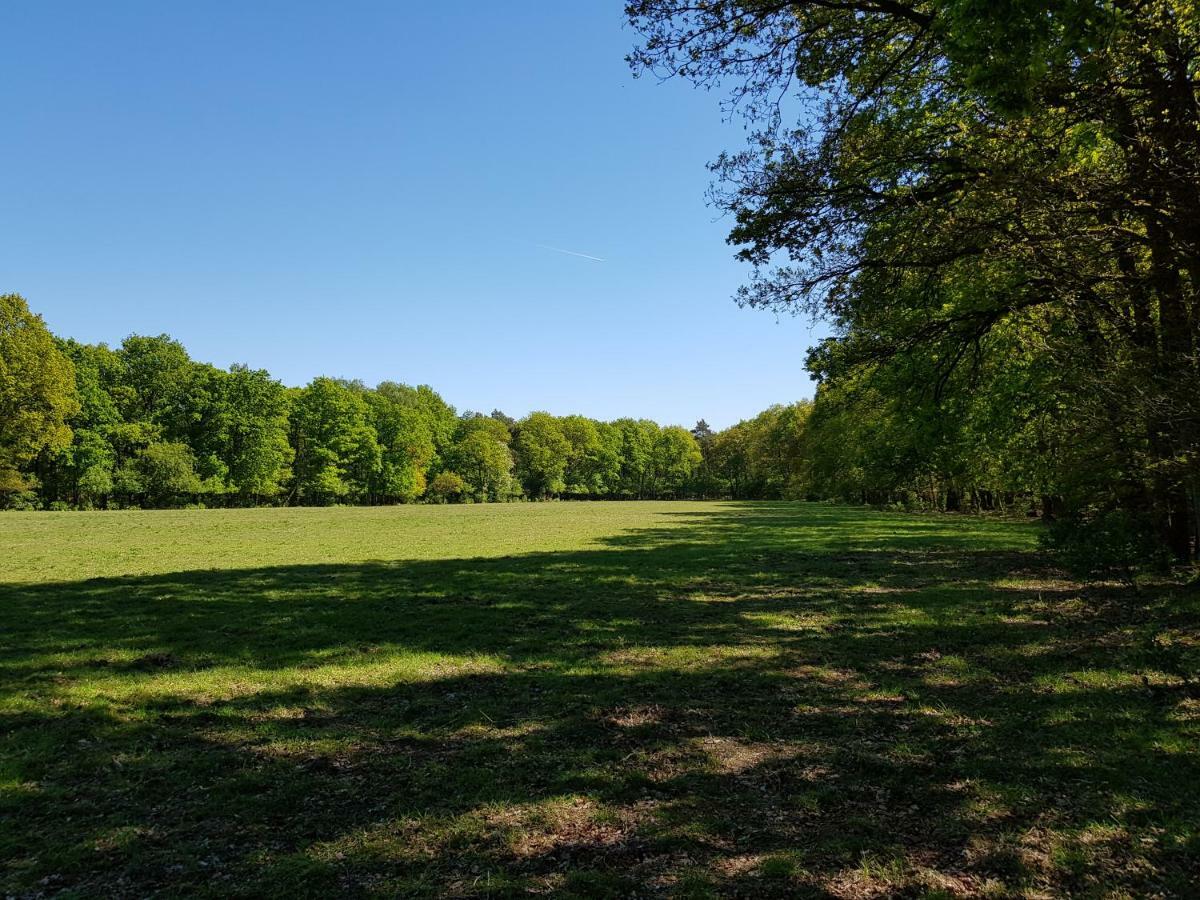Knusse 5 Persoons Bungalow Hartje Veluwe Otterlo Eksteriør billede